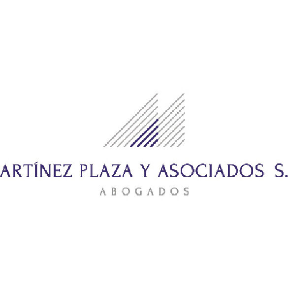 martinez plaza y asociados s c