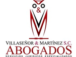 villasenor y martinez abogados sc