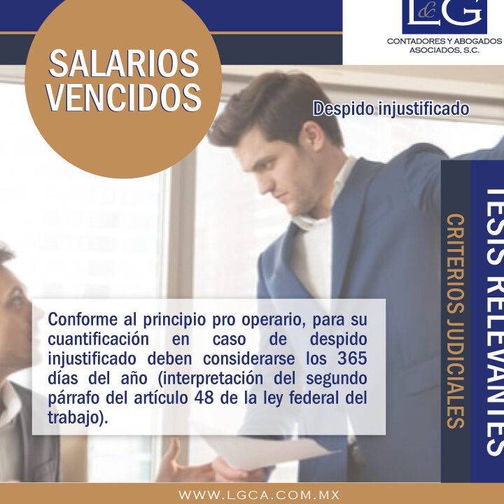 zrg abogados y contadores